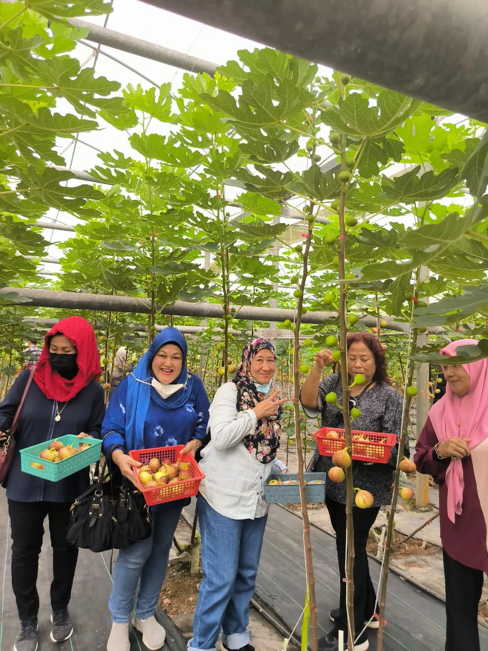 media-grid-background-image