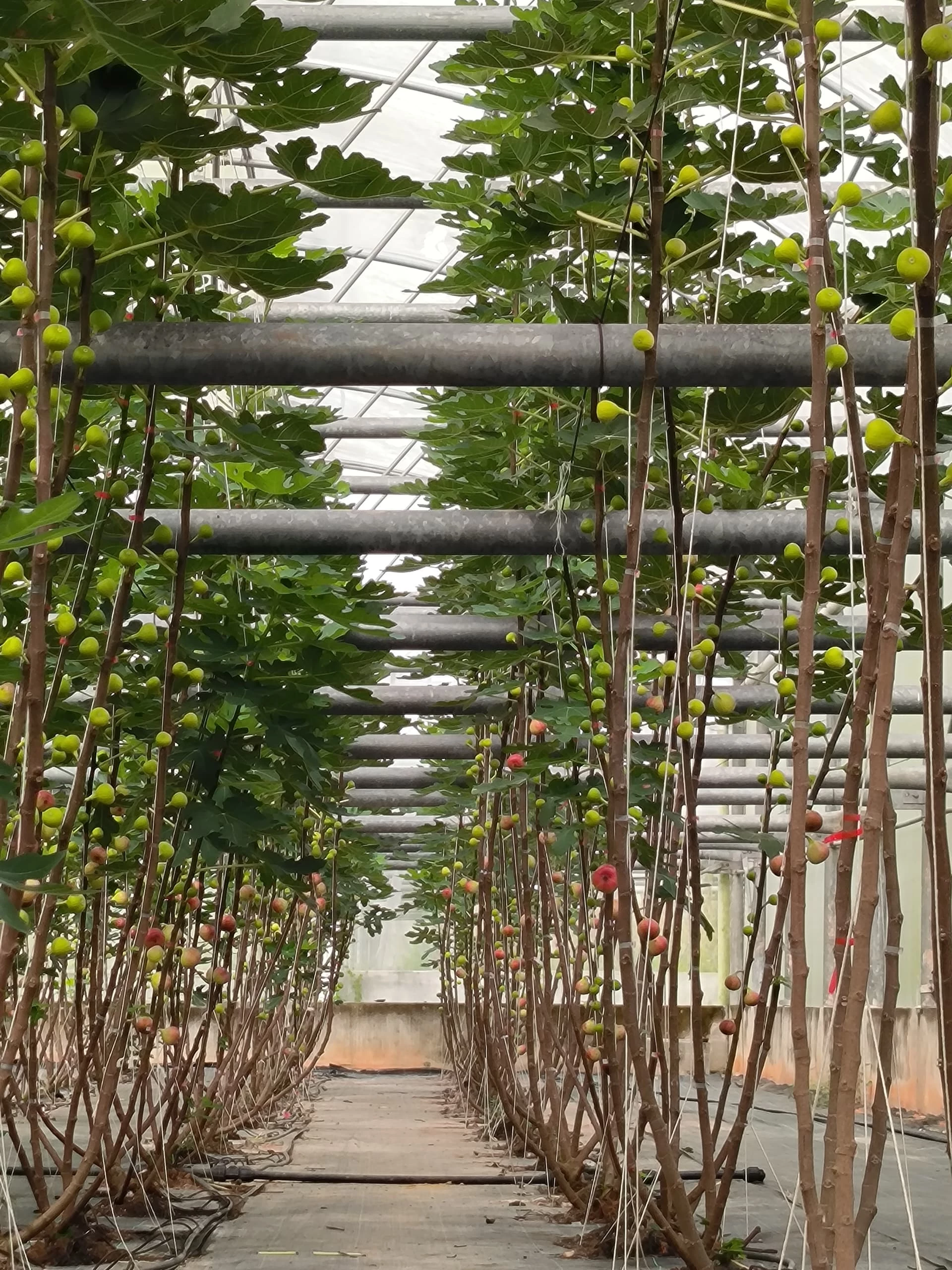 media-grid-background-image