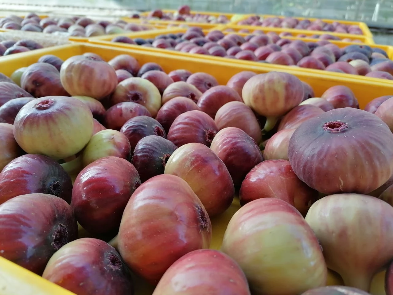 media-grid-background-image