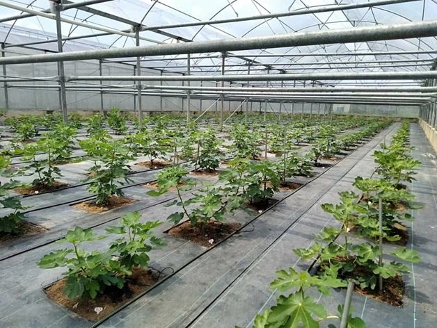 media-grid-background-image